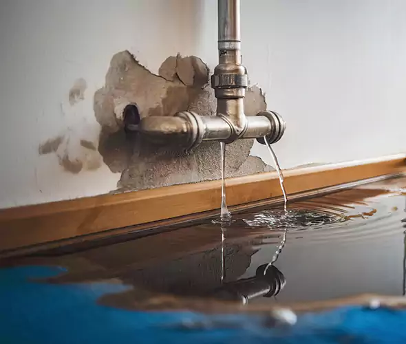 Professional Water Damage Restoration Experts in Gloucester, MA — Fast, Reliable & Certified